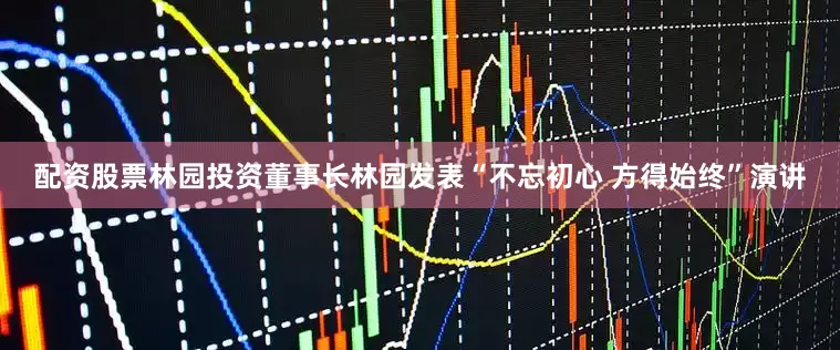 配资股票林园投资董事长林园发表“不忘初心 方得始终”演讲