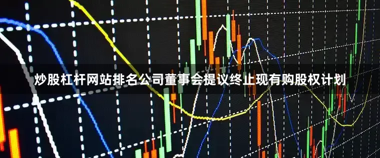 炒股杠杆网站排名公司董事会提议终止现有购股权计划