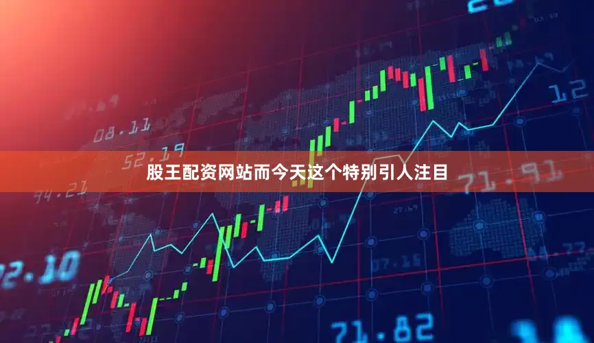 股王配资网站而今天这个特别引人注目