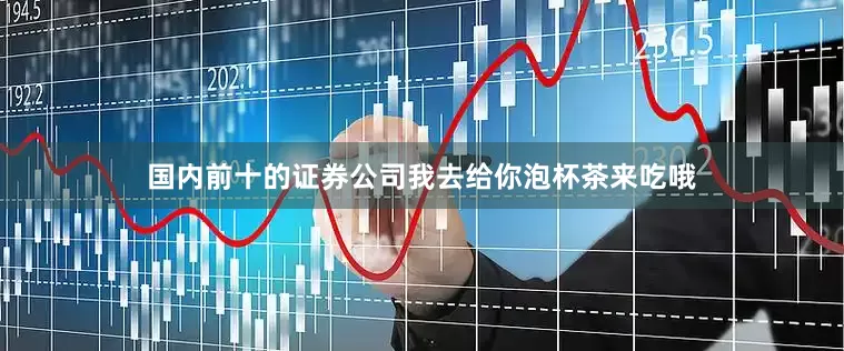 国内前十的证券公司我去给你泡杯茶来吃哦