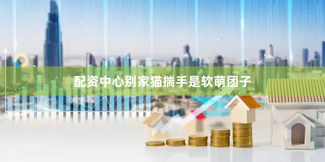 配资中心别家猫揣手是软萌团子