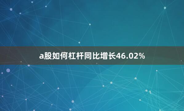 a股如何杠杆同比增长46.02%