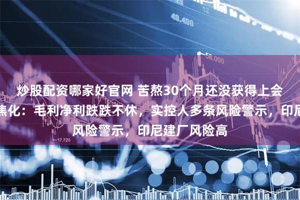 炒股配资哪家好官网 苦熬30个月还没获得上会机会的阳光焦化：毛利净利跌跌不休，实控人多条风险警示，印尼建厂风险高